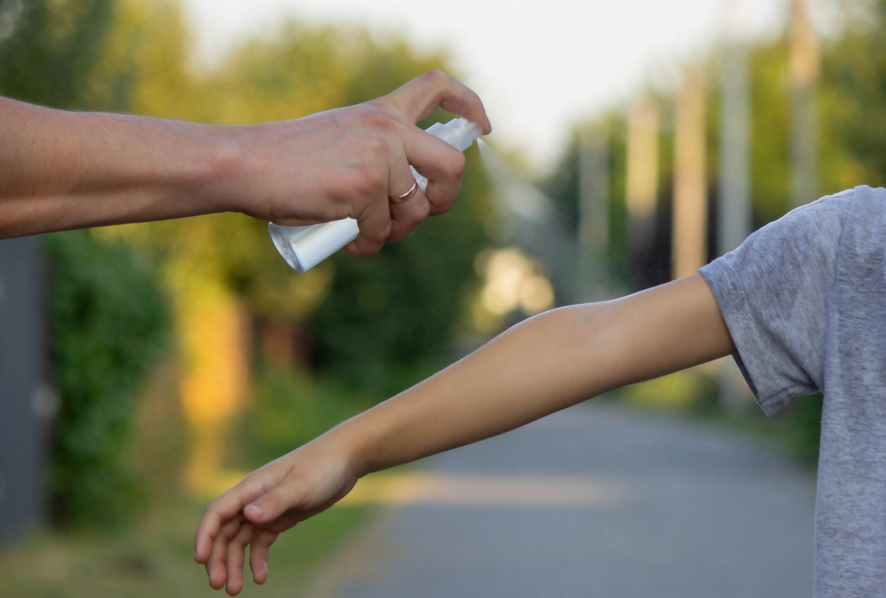 Il repellente naturale per insetti: ecco la pianta che funziona davvero in casa