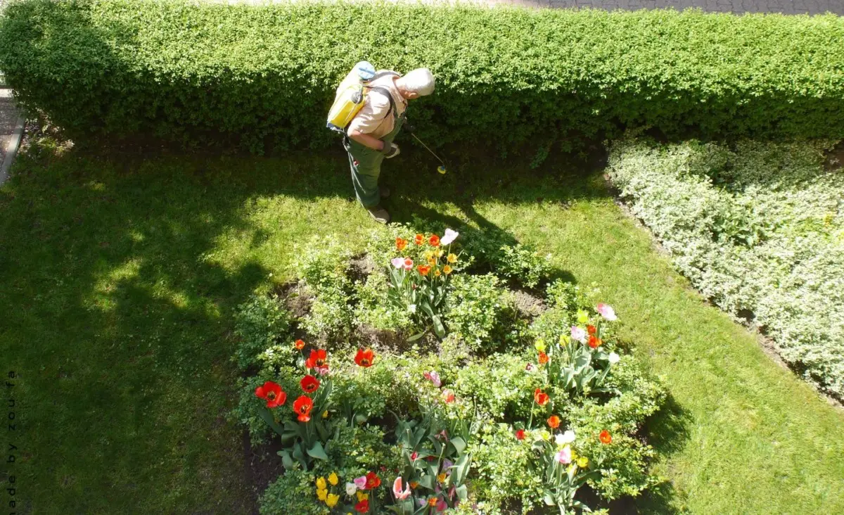 Hai mai pensato di diventare manutentore del verde? Ecco quanto puoi guadagnare