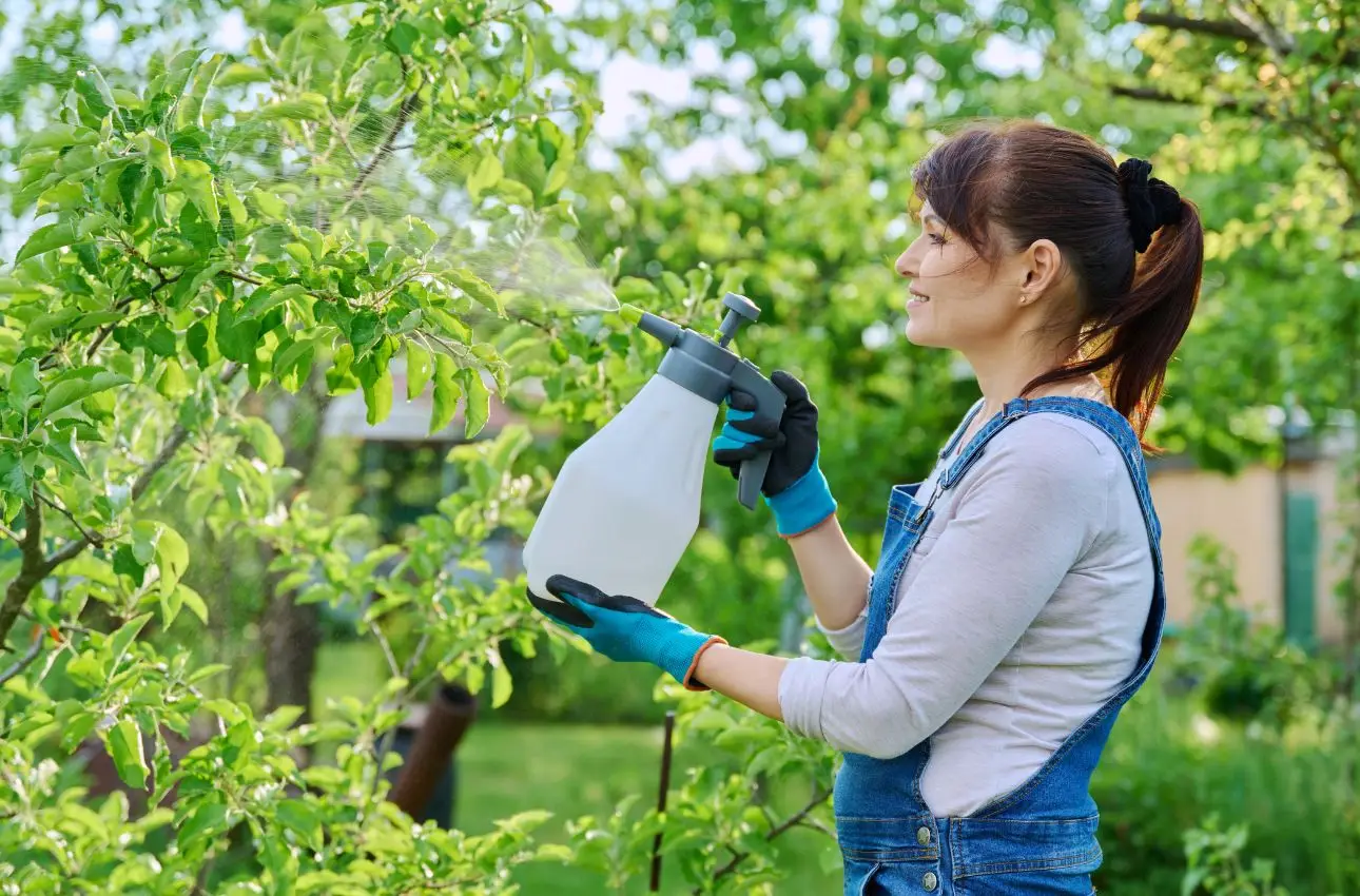 Come spruzzare l’insetticida sulle piante: l’errore comune che brucia le foglie