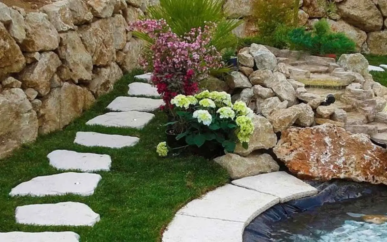 Le tue piante amano il terreno acido? Ecco il trucco naturale per modificare subito il ph