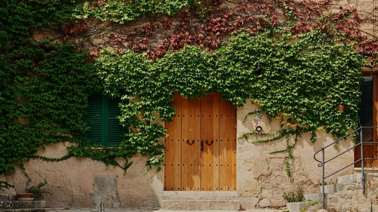 Vuoi privacy sul balcone? Ecco le piante rampicanti più veloci per coprire subito la ringhiera