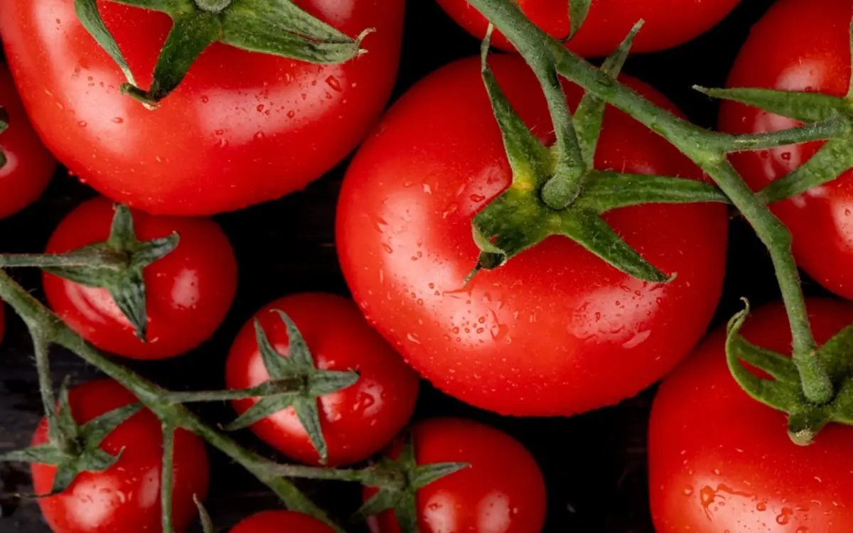 Non tenerli mai in frigo: ecco il trucco definitivo per conservare i pomodori freschi
